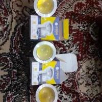 لامپ هالوژن آفتابی و مهتابی