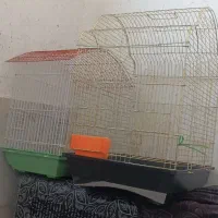 دوعددقفس نو