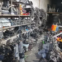 بزرگ اوراقی مادر برادران شلالوند