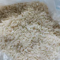 برنج طارم هاشمی امساله