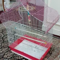قفس پرنده