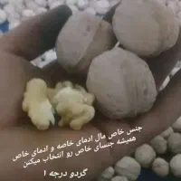 گردو درجه یک