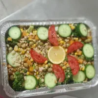 تهیه وطبخ غذای خانگی