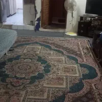 اجاره آپارتمان ۷۰ متری ۱ خوابه همکف در کوی ولیعصر|اجارهٔ آپارتمان|مشهد, کوی ولیعصر|دیوار