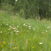 معاوضه خودروسنگین کامیونت خاور کاویان