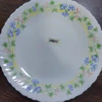 ارکوپال پلوخوری انتیک نو واکبند