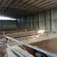 اجاره گاوداری 4500 متری