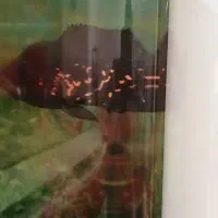 یک عدد اسکارسلطنتی و یک عدد کت افرقایی بزرگ