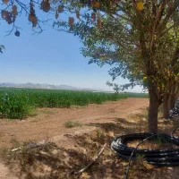 فروش زمین ۸۵ هکتار در فدک