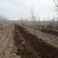 خدمات باغی و گلخانه ای|خدمات باغبانی و درختکاری|اصفهان, زیار|دیوار