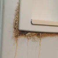 رنگ کردن یخچال ولوازم|خدمات پیشه و مهارت|ساوه, |دیوار