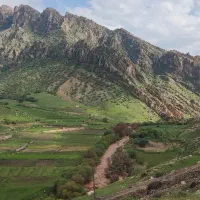 زمین کشاورزی شهر شباب