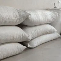 ۵۰۰کیلو پسته اکبری خام