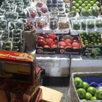 میوه استوایی توت فرنگی میوهای چهار فصل تالار مجالس|خوردنی و آشامیدنی|تهران, میدان میوه و ترهبار مرکزی|دیوار