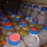 خیارشور یکدست