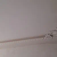 گچکاری جهانگیری|خدمات پیشه و مهارت|قیدار, |دیوار