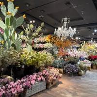 همکار خانم برای اشپزخانه