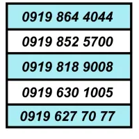 0919.63.713.63