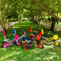 دوچرخه سونیک ۱۲|دوچرخه، اسکیت، اسکوتر|شوشتر, |دیوار