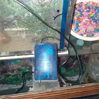 اکواریوم با تمام لوازم۶۰×۳۰