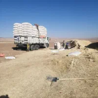 کاه گندم.در راین