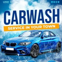 نیروی کارواش