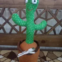 تعدادی اسباب بازی نو|اسباببازی|پرند, فاز ۵|دیوار