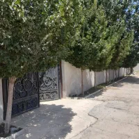 باغچه ۶۰۰ متری قدمت دار چهار دیواری پر درخت