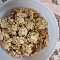 گردو تویسرکان ب صورت کلی و جزئی