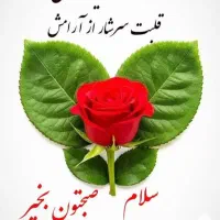 اجاره واحد ۲ خواب صدف فاز ۵