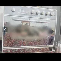 گاز