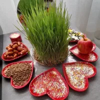 سازه های سنگی هاکان|ظروف سرو و پذیرایی|اردبیل, |دیوار