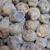 خرما برحی|خوردنی و آشامیدنی|اهواز, بهارستان|دیوار