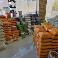 برنج پاکستانی و ایرانی