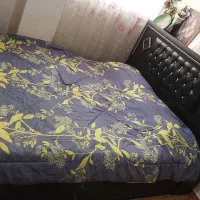 تخت خواب دونفره با تشک ۴۵۰۰۰۰۰ تومان تخفیف هم داره|تخت و سرویس خواب|لنگرود, |دیوار