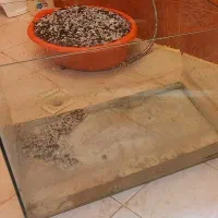 اکواریوم با حداقل ۷ کیلو سنگ سفید و مشکی