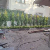 خدمات باغبانی فروش گل و گیاه باغچه کاری کاشت گل|خدمات باغبانی و درختکاری|تهران, هروی|دیوار