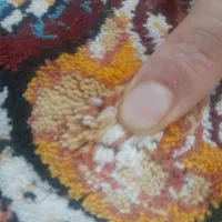 فرش ۱۲|فرش|زاهدان, |دیوار