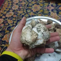 سماروق اصلی