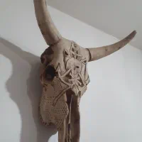 جمجمه گاو و قوچ و تابلو
