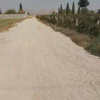 زمین با کاربری گلخانه ، اسطبل ، سردخانه ، باغ شهری|فروش دفتر صنعتی، کشاورزی، تجاری|شیراز, ظفرآباد|دیوار