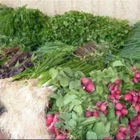 سبزی فروشی در تره طول گیلان