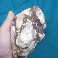 سنگ شبیه گوشت