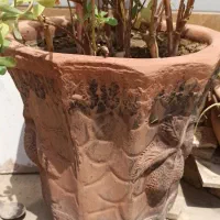 گلدان|گل و گیاه طبیعی|آبپخش, |دیوار