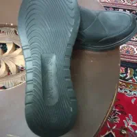 کفش زنانه|کیف، کفش، کمربند|قم, پردیسان|دیوار