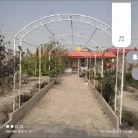 طاق میم انگور|مصالح و تجهیزات ساختمان|مشهد, میان ولایت|دیوار