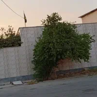 فروش فوری، آدرس خیابان فضیلت ابتدای کوچه|فروش خانه و ویلا|بندر گناوه, |دیوار