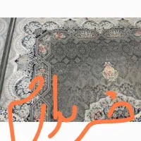 فرش 6متری طرح هالیدی