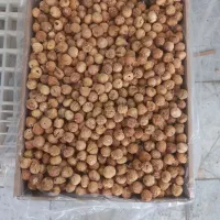 فروش عمده انجیر برای صادرات و داخل