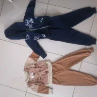 کفتر|پرنده|مشهد, وکیل‌آباد|دیوار